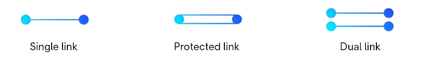 Wavelengths service options for various levels of resiliency and redundancy