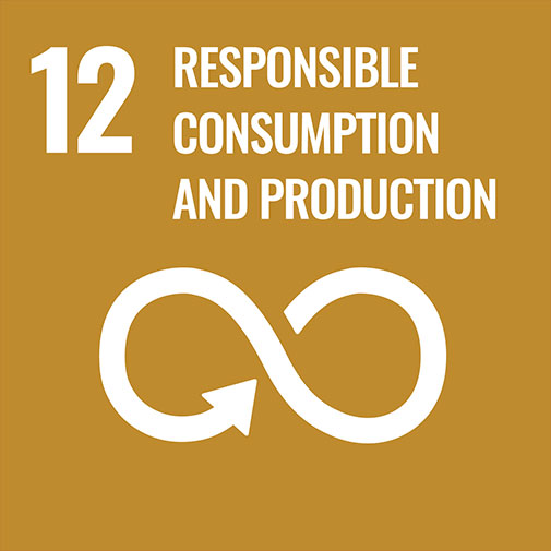 SDG goal responsible consumption