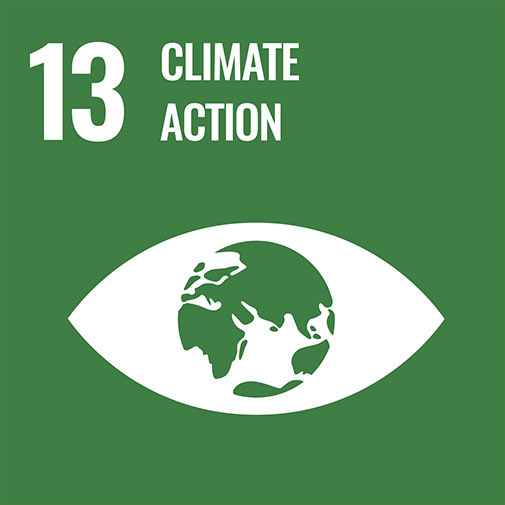 SDG goal climate action